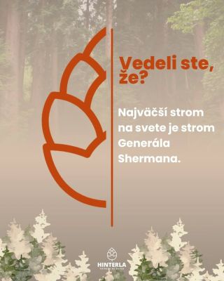 🌲 Vedeli ste, že najväčší strom na svete podľa objemu rastie v Kalifornii? Strom Generála Shermana (Sequoiadendron...